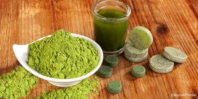 Spirulina-Algen stärken das Immunsystem