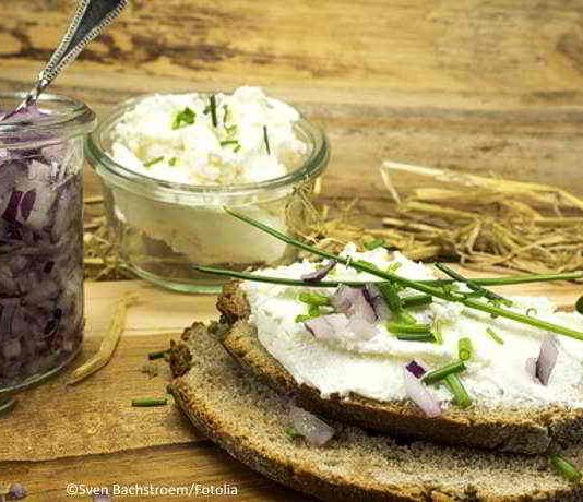 Ziegenkäse selber machen