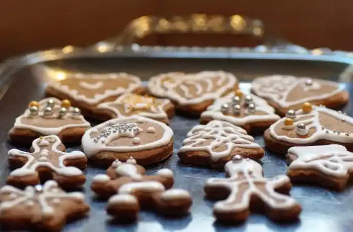 Aromatischer Schmuck für den Weihnachtsbaum Aromatischer Schmuck für den Weihnachtsbaum