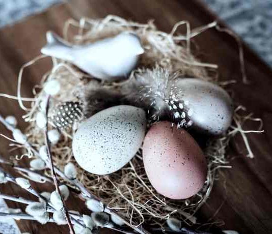 Selbst gemachte Nester als dekorativer Frühlingsschmuck