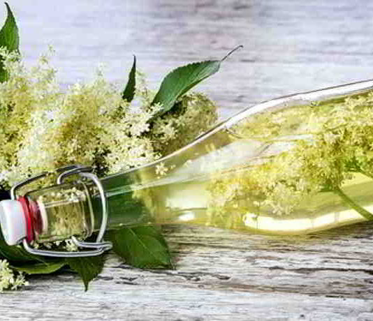 Holunderblütensirup, gesund und schnell gemacht Holunderblütensirup selber herstellen