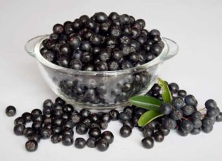Aronia – Beerenstark für die Gesundheit Aronia - Beerenstark für die Gesundheit