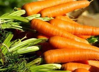 Möhren – geraspelt ist besser als gekocht Möhren, geraspelt ist besser als gekocht