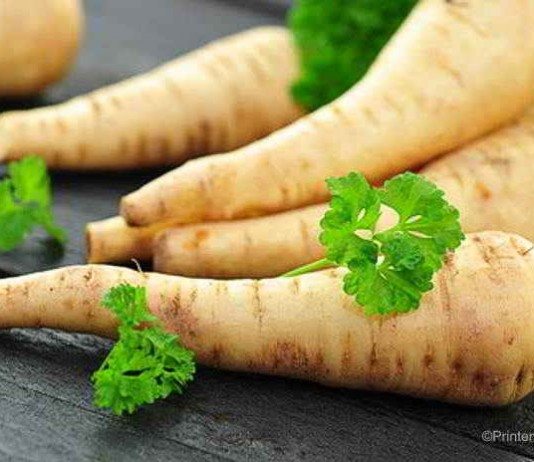 So gesund kann Petersilienwurzel sein