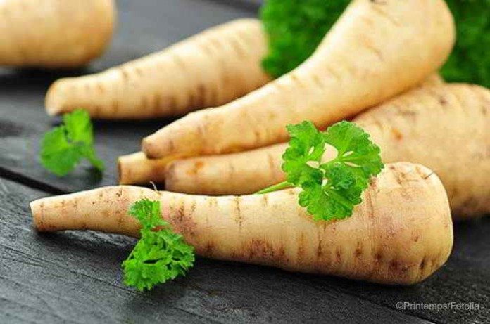 So gesund kann Petersilienwurzel sein