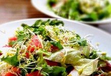 Fenchelsprossen – selbstgezogen, lecker und gesund Fenchelsprossen passen zu vielen Mahlzeiten