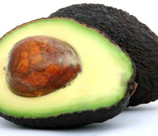 Avocadokerne – genauso wertvoll wie die Frucht Avocadokerne, genauso wertvoll wie die Frucht