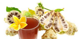 Noni - Ihre gesunde Inhaltsstoffe werden seit über 2000 Jahren genutzt