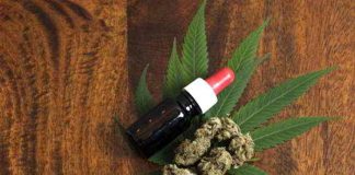 Mit CBD Öl Schmerzen ganz natürlich bekämpfen
