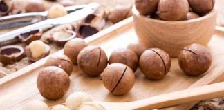 Die Macadamia Nuss ist in der Küche und Kosmetik sehr variabel einsetzbar