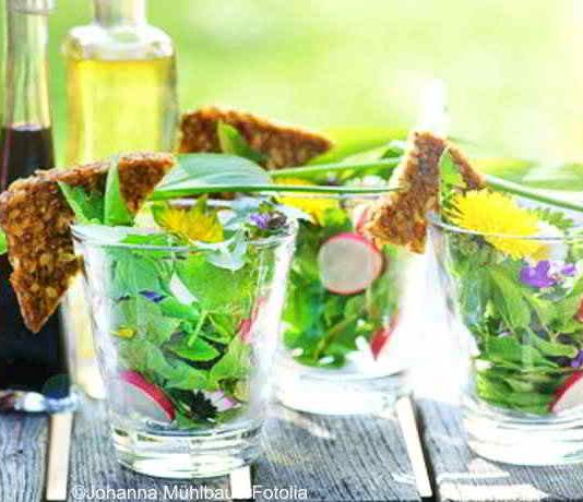 Leichte Frühlingssalate – gesund, kalorienarm und schnell zubereitet Leichte Frühlingssalate - gesund, kalorienarm und schnell zubereitet