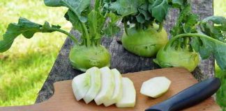 Kohlrabi - gesund, kalorienarm und zart im Geschmack