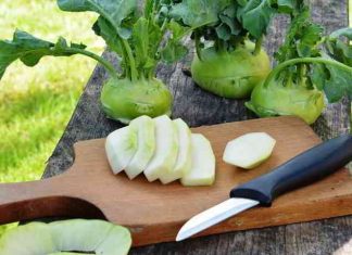 Kohlrabi - gesund, kalorienarm und zart im Geschmack
