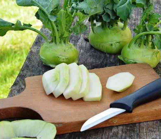 Der Kohlrabi und seine Blätter – gesund und kalorienarm Kohlrabi - gesund, kalorienarm und zart im Geschmack