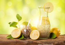 DIY Chia Fresca - gesund, lecker und hilft beim Abnehmen