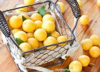 Mirabellen Chutney und Essig selber herstellen