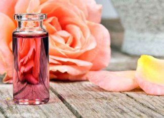 DIY Rosenwasser – natürliche Feuchtigkeitspflege für Ihre Haut DIY Rosenwasser - das natürliche Allroundtalent für Ihre Hautpflege