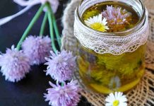 Kräuteressig und -Salz aus Schnittlauchblüten selber herstellen