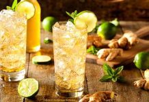DIY Ingwersirup und Switchel – ohne Zucker, gesund und erfrischend DIY Ingwersirup und Switchel - zuckerfrei, gesund und erfrischend