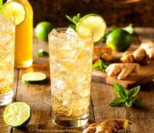 DIY Ingwersirup und Switchel - zuckerfrei, gesund und erfrischend