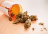 HWS-Syndrom: Ist medizinisches Cannabis das neue Heilmittel?