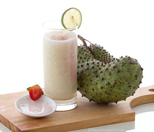 DIY Graviola Saft und Shakes - Gesundheit aus dem Regenwald