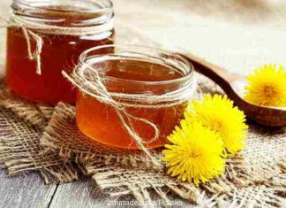 DIY Löwenzahnhonig und -wein, gesund und richtig lecker DIY Löwenzahnhonig und -wein, gesund und richtig lecker