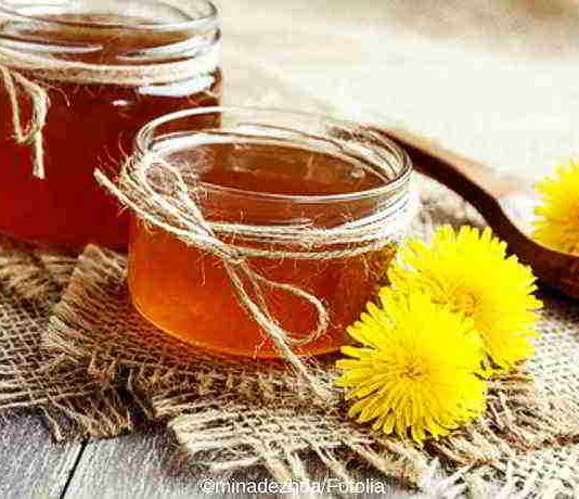 DIY Löwenzahnhonig und -wein, gesund und richtig lecker