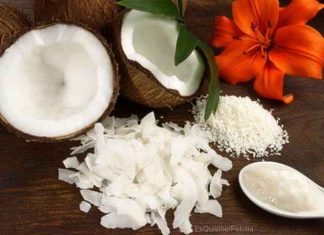 Bio Kokosmus und Kokosmilch ganz einfach selber herstellen