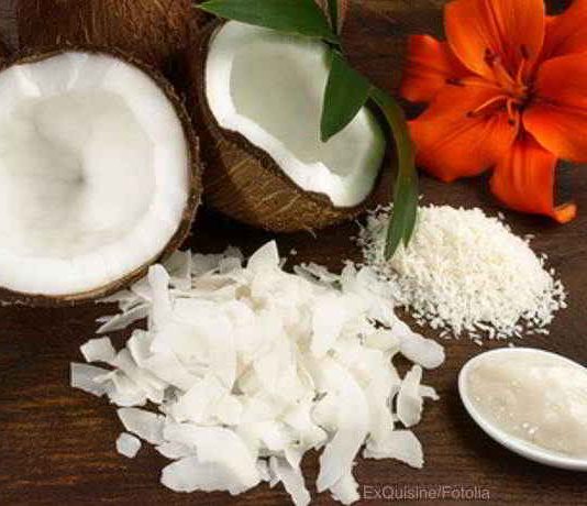Bio Kokosmus und Kokosmilch ganz einfach selber herstellen