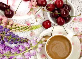 Lupinenkaffee, gluten- und koffeinfrei, magenfreundlich, regional