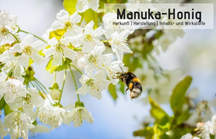 Manuka-Honig - Herkunft, Herstellung, Wirkstoffe,