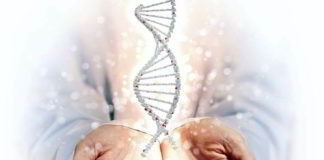 Diagnose "Krebs" - Remission möglich?