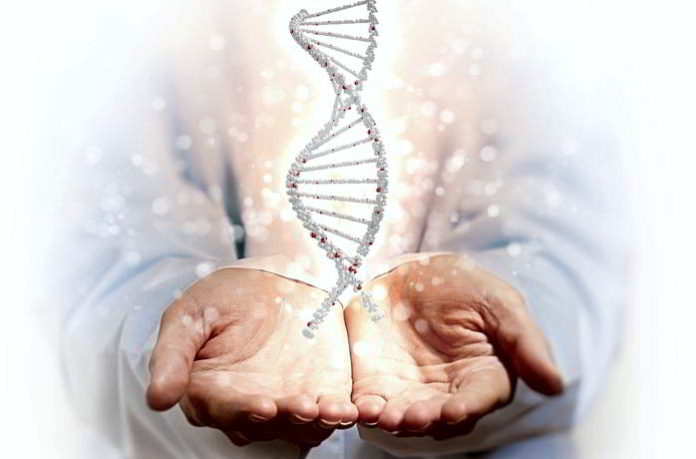 Diagnose Krebs-Remission möglich. Diagnose "Krebs" - Remission möglich?