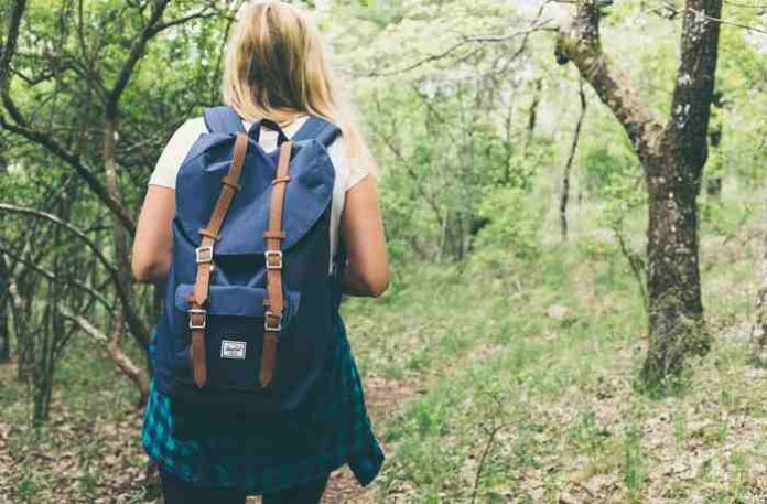 Seien Sie dabei beim Resilienztraining im Wald!